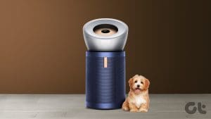 best air purifiers for pet hair