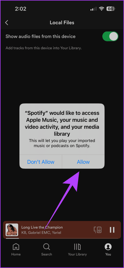 Allow Spotify to Acess Local Files