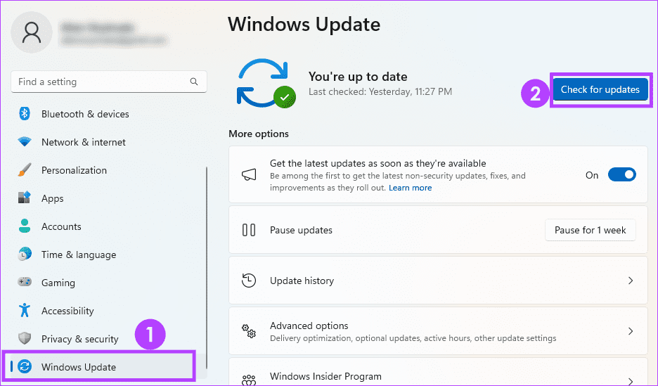 Checking for Windows updates