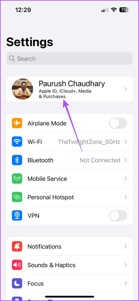 profile name settings iphone 6