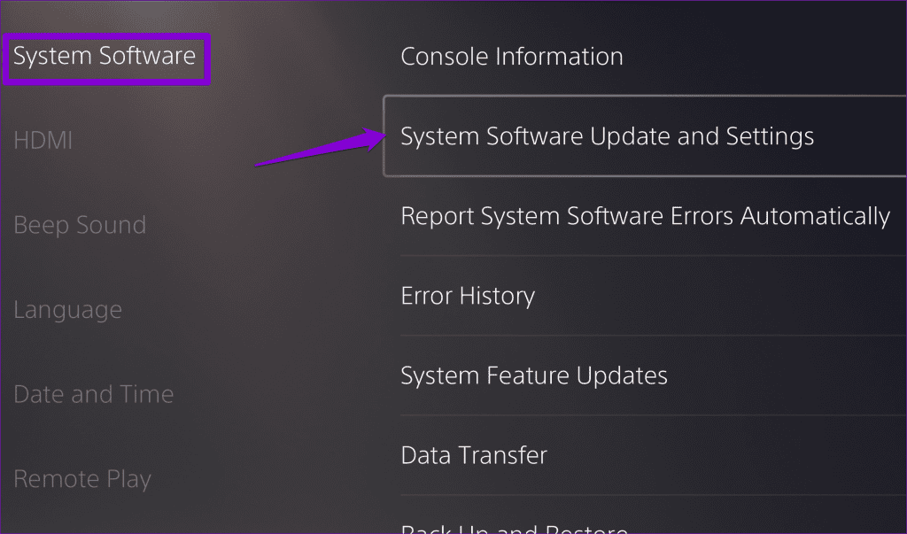 PS5 Software Update and Settings