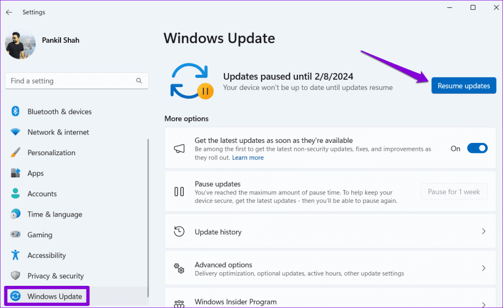 Resume Windows Updates Option in Settings App