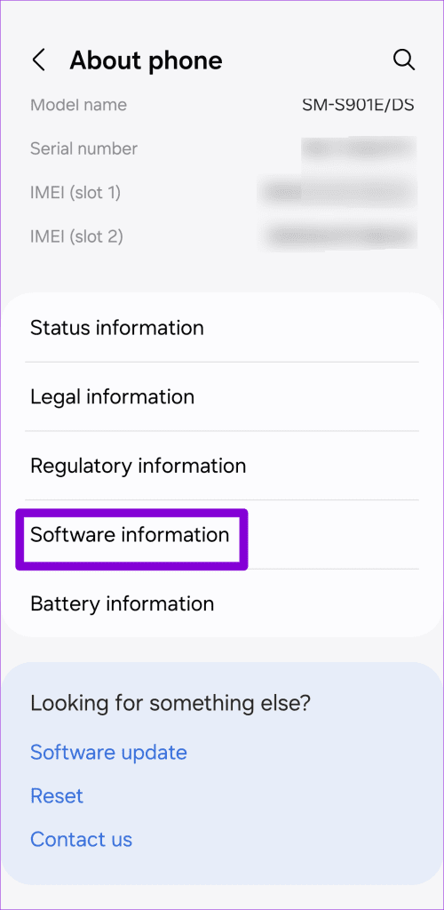 Software Information on Samsung Phone